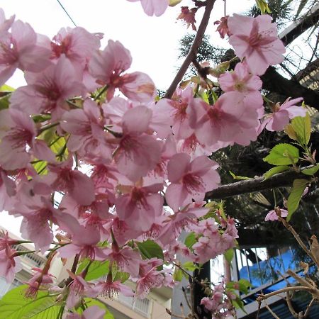 Hotel Kawasaki Share House Exterior foto